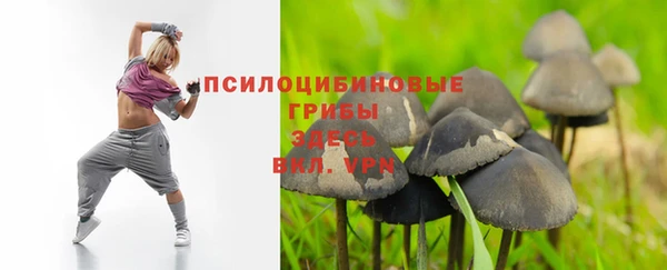 соль курить ск Алексеевка
