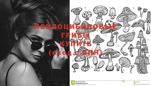 соль курить ск Алексеевка