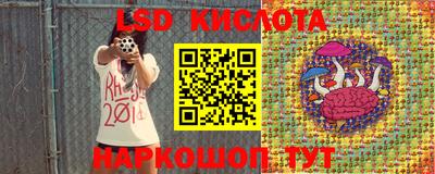 гашик Кимры