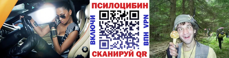 купить наркоту  Коркино  Псилоцибиновые грибы MAGIC MUSHROOMS 