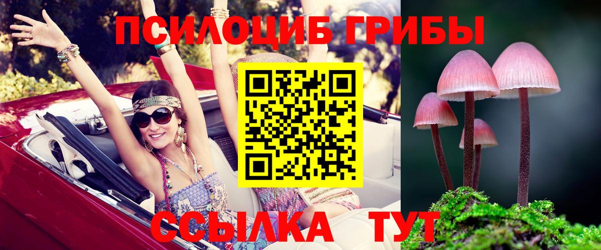 Псилоцибиновые грибы Magic Shrooms Коркино